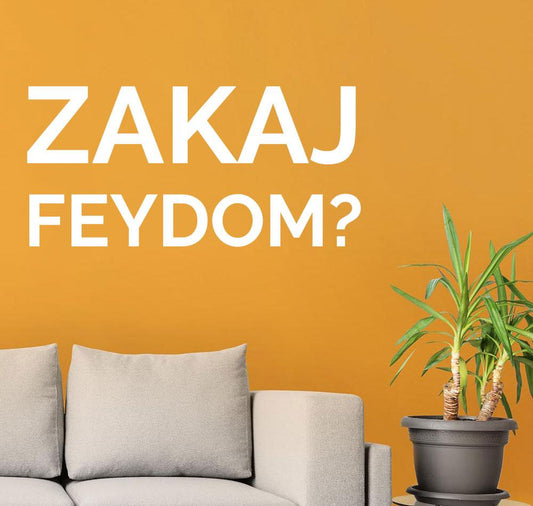 Zašto FEYDOM?