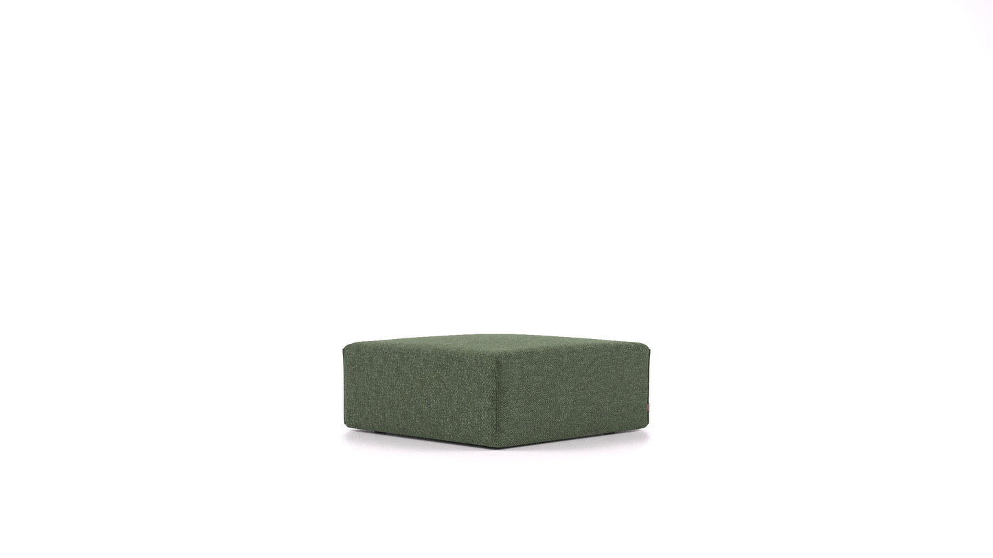 IC-39: Forest